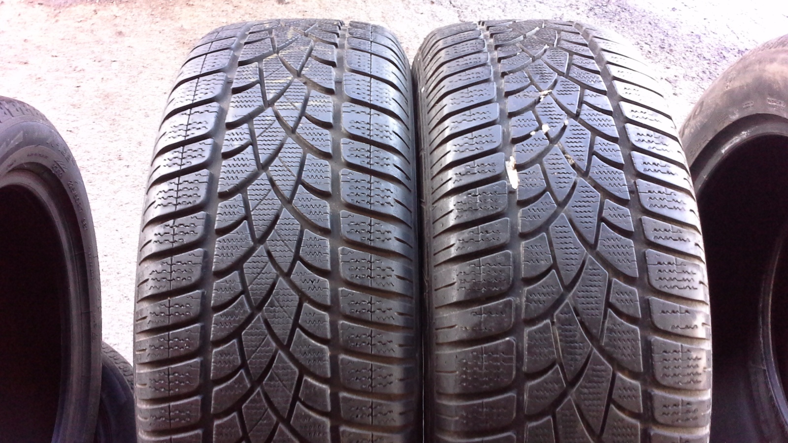 lamellrehv Dunlop Sp Winter Sport 3D