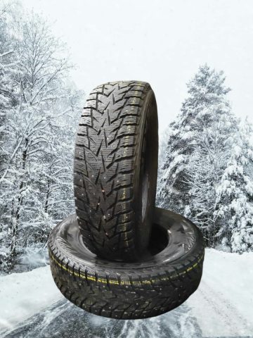 Winter studded Nexen Winguard Winspike