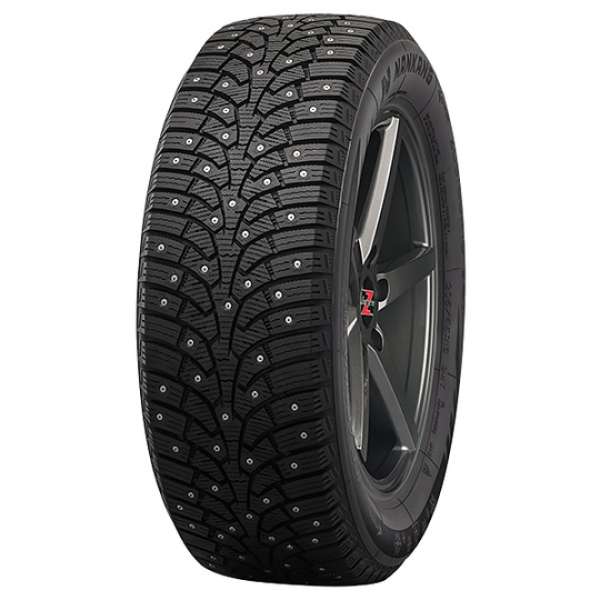 dubbdäck Nankang Ice Activa SW-9
