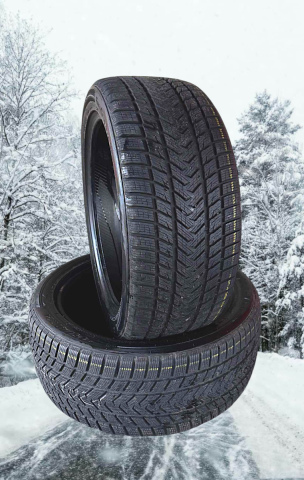 Friction tires Gripmax Suregrip Pro Winter