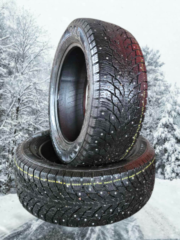 Naastrehv Nokian Hakkapeliitta C4