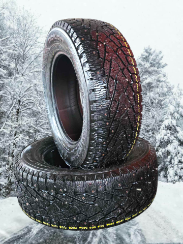 <font face='Tahoma'>Radžu riepa</font> Nokian Hakkapeliitta C3