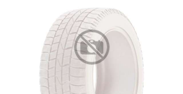 Friction tires Nokian Hakkapeliitta R5 EV