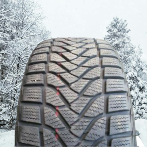 <font face='Tahoma'>Vissezonas riepa</font> Firestone Winterhawk