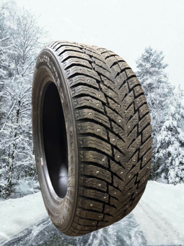 Naastrehv Nokian Hakkapeliitta 10