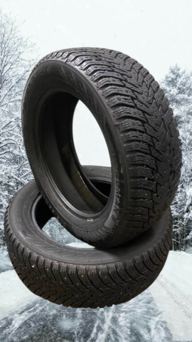 dubbdäck Nokian Nordman 8