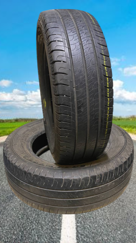 <font face='Tahoma'>Vasaras riepa</font> Goodyear EfficientGrip CARGO