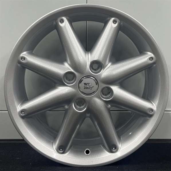 valuveljed WSP Italy Ford